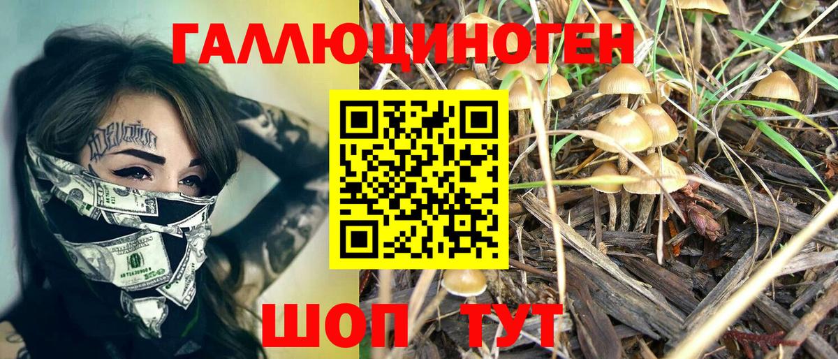Галлюциногенные грибы мицелий  Псилоцибиновые грибы мицелий  Вход с VPN  Тосно 