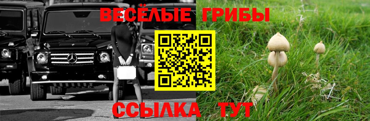 Галлюциногенные грибы мицелий Тосно